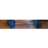 Image 1 : Weightlifting Bar and Weights as Shown (Blue Weights)