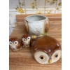 Image 2 : Vintage Collectable Owl Cookie Jar & Salt & Pepper Shakers OTAGIRI 1981 Made In Japan 