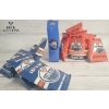 Image 4 : Collection Of Edmonton Oilers Fan Merchandise And Memorabilia