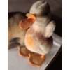 Image 6 : - Vintage Steiff: Mockie 5.5 X 3.5 w/ Tag and Duck 4.5 T, No Tag