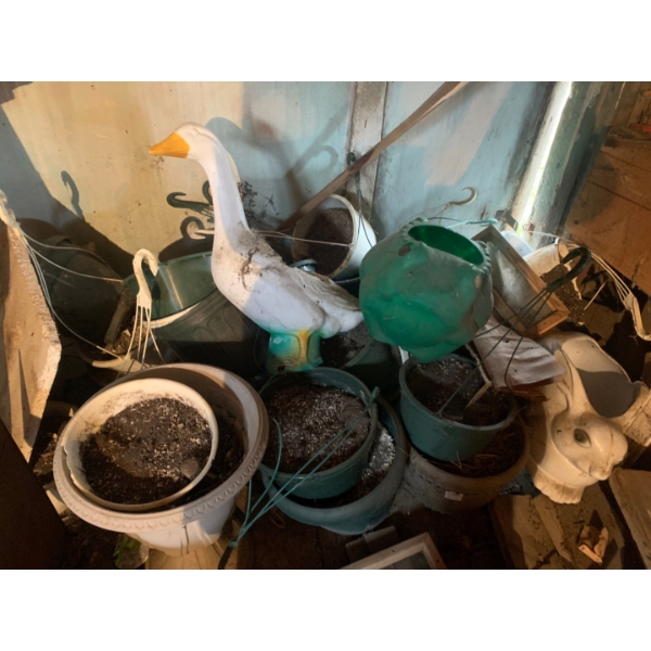 Garden Pot Lot