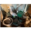 Image 1 : Garden Pot Lot