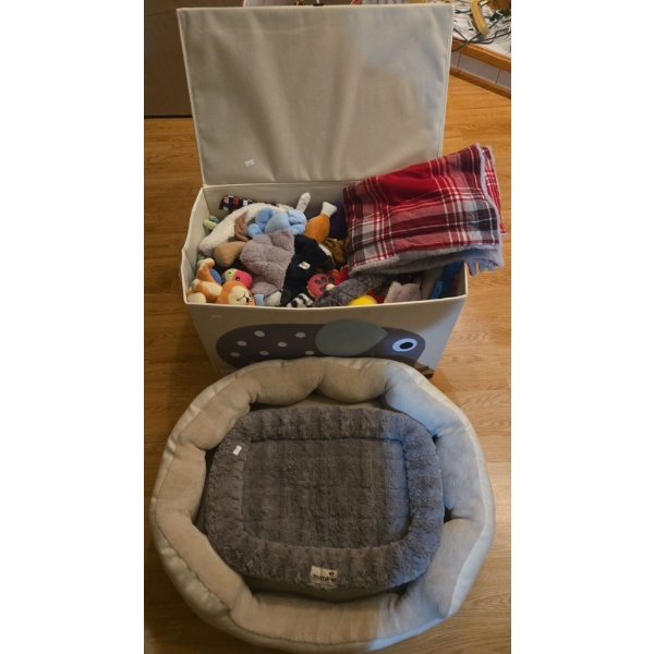 Small Doggy Essentials 