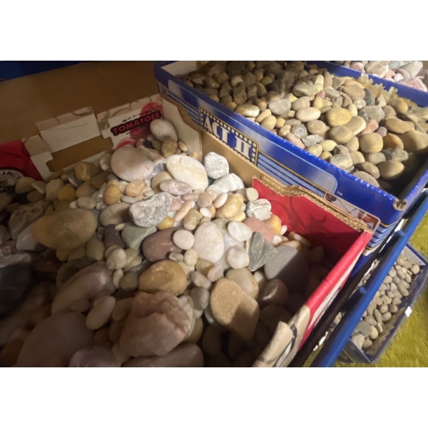 Handpicked Rock Collection - Assorted Shapes & Sizes