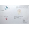 Image 3 :  Rose Quartz gemstone 103.1 ct Certified ($13,900 Appraisal)