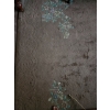 Image 3 : High Pile Asian Area Rug - Floral Embellishments - 108x120 