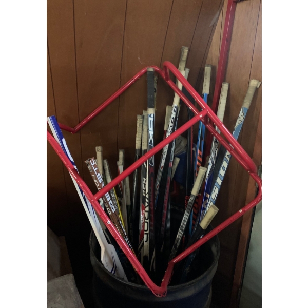 Hockey Stick Collection w/ Small Net Frame 