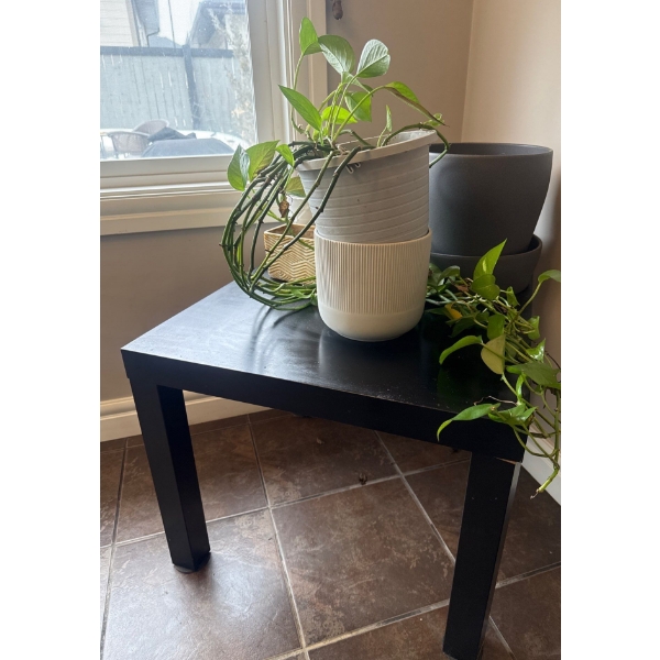 IKEA Lack Side Table 18'Tall w/ Live Potted Greenary Artifical Vine Plant & Assorted Planters