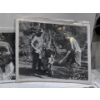Image 5 : Collection of Stills from Tarzan the Ape Man