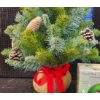 Image 2 : Festive Set: Wooden Santa, Mini Frosted Tree, and Digital Ornament