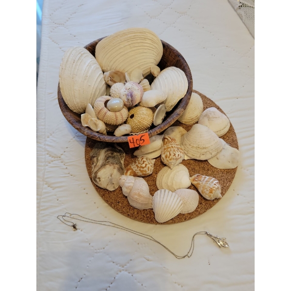 10K Stamped Gold Necklace,, Collection of Sea Shells 