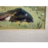 Image 2 : A. Tong Original Watercolour 12.5Wx9H