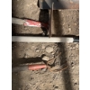 Image 4 : Garden Tools Including Shovels, Rakes, Hoe, and Cultivator