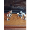 Image 1 : Dog Decor Collection 4T