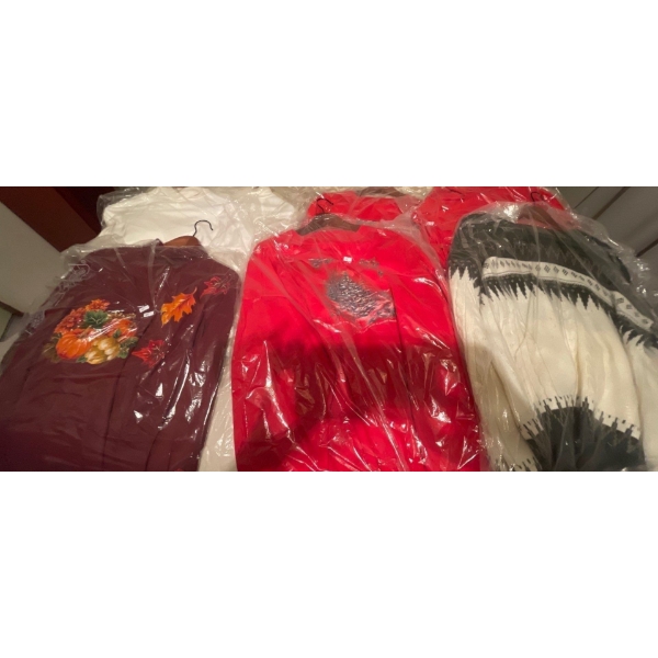 Hideous Holiday Threads Size L-XL