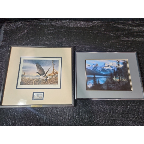 Ducks Unlimited Print and Mountain Views