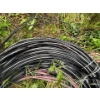 Image 3 : Pile of cable several hundred feet