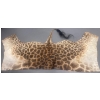 Image 7 : African Giraffe Torso 96T x 48W  x 48D
