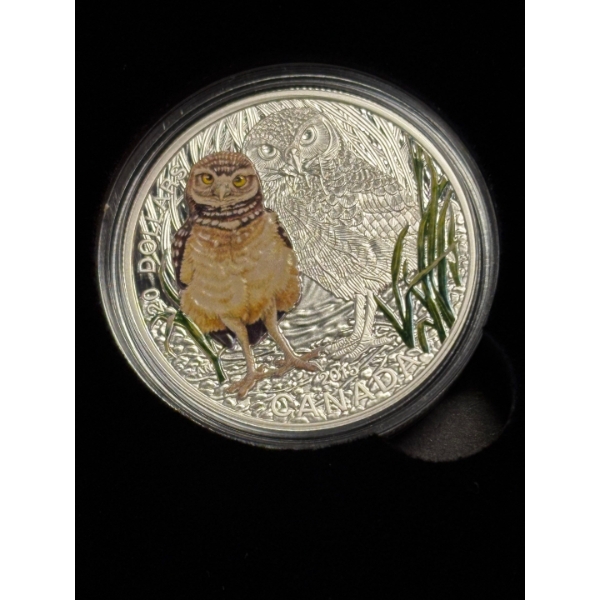 2015 $20 Baby Animals: Burrowing Owl - Pure Silver Coin and Stamp Set 31.39 Silver 