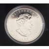 Image 3 : 2007 Silver Maple Leaf Coloured $5 Coin- Sugar Maple in Orange 99.9% Silver 31.39 Grams