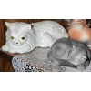 Image 2 : Cat Figurine Collection with Wedgwood Plate