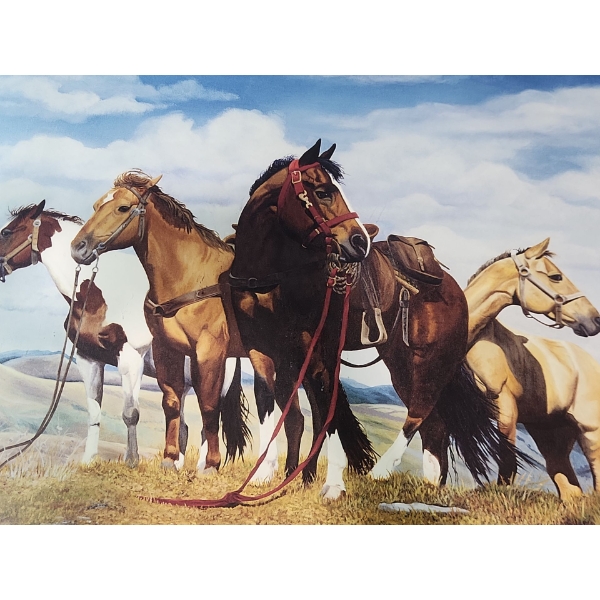 Framed Lesley White Print