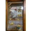 Image 2 : Shadowbox Chicken Decor- Clock 25 T, 11 L, 4 W and Framed Plates 11 Diameter 