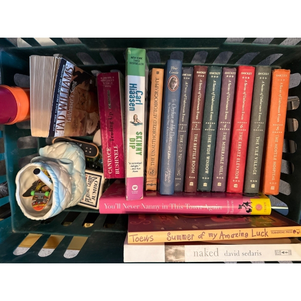 Book Collection - Incl. Series of Unfortunate Events Series, Marbles, Desktop Tennis, More