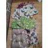 Image 1 : Assorted Chair Cushions