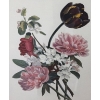 Image 3 : Print of Flowers 24.5 X 30, Framed Under Glass