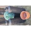 Image 3 : Outdoor Assortment - Tiki Lamps Solar Panel Patio Lights Gazebo Cover Planters & More