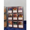 Image 11 : MTG Binders of World Wake & Fire and Ice Cards, total of 99