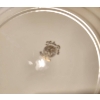 Image 9 : English Dinnerware Including Cottage Rose, Debutante, and Other Assorted