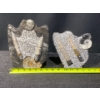 Image 11 : Orthoceras and Ammonite Fossil Specimen Statues