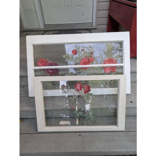 Framed Rose Botanical Prints on Glass Window Panes