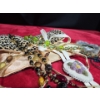 Image 6 : Large Collection of Costume Jewellery  