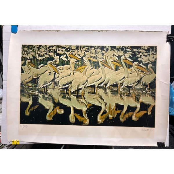 Flock of Pelicans Print 25Wx14.5H
