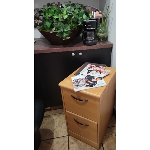 Wood Filing Cabinet 15x18x25 w/ Mr. Coffee Coffee Pot & Faux Decorative Plant 