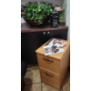 Image 1 : Wood Filing Cabinet 15x18x25 w/ Mr. Coffee Coffee Pot & Faux Decorative Plant 