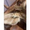 Image 3 : Deer Shoulder Mount Includes Tags and all Necessary paperwork .