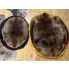 Image 1 :  Two Beaver pelts large 33” length small 24” length .