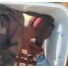 Image 16 : Several Bins of Men's Casual Wear and Socks, Assorted Sizes