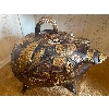 Image 2 : Large Piggy Bank 17.5L