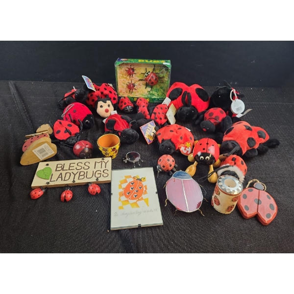 Assorted Ladybug Decor: Wonder Wold of Bugs, Bless my Ladybugs Sign 7 X 3 (Plus Hanger) and More!