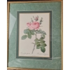 Image 3 : Vintage, Framed Botanical Prints Of Roses After The Original Illustrations 17''*22''INCHES