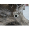 Image 5 :  Shell Hand Carving 