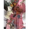 Image 5 : Yard Garden Decor Collection, As Pictured, Some Damage 