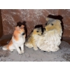 Image 1 : Collie Dog Resin Figurines Set