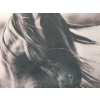 Image 2 : Horse Images on Canvas  24 inch x 18 inch & 14 inch x 18 inch