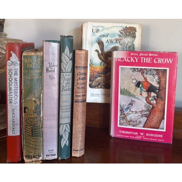 Up & Away, Blacky The Crow, Robin Hood, Flight Nurse & More Oldies To Read